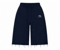 Navy Summer Shorts